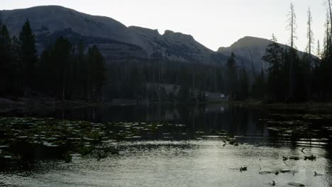 Aerial-dolly-out-over-the-tranquil-Butterfly-Lake-with-lily-pads-up-the-Uinta-National-Forest-in-Utah-with-large-Rocky-Mountains-and-pine-trees-surrounding-on-a-foggy-summer-morning-while-camping