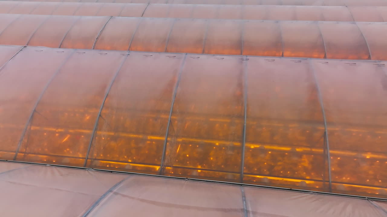 дрон, наклоненный над растениями, растущими внутри освещенного теплицы, зимний вечер