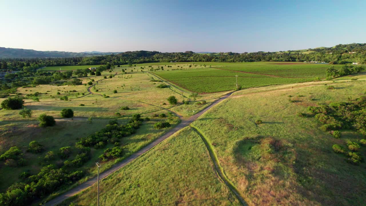 Napa Valley, California. Aerial slow descent over a large, vibrant green hiking trail with rows of vineyards visible in the distance during sunrise.