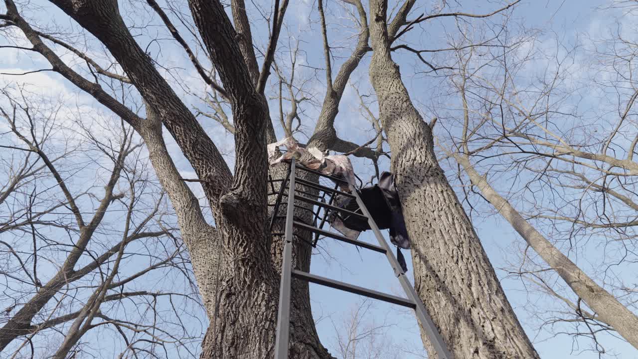 낮은 각도, 숲의 사냥 은신처 전망대로 이어지는 사다리