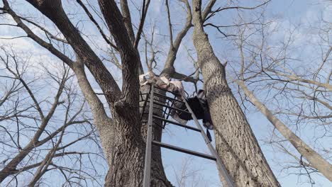 low angle, ladder leading up to hunting hideout viewing point in forest