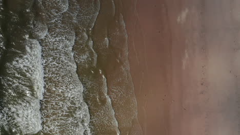 Luftvogelperspektive-Von-Oben-Nach-Unten-Aufsteigender-Blick-Auf-Wellen,-Die-Sandstrand-An-Der-Nordseeküste-Waschen.-Dänemark