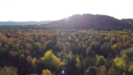 Drohne-Fliegt-über-Baumwald-In-Der-Wildnis-Von-Laurentides,-Québec,-Kanada,-In-Der-Nähe-Von-Montreal