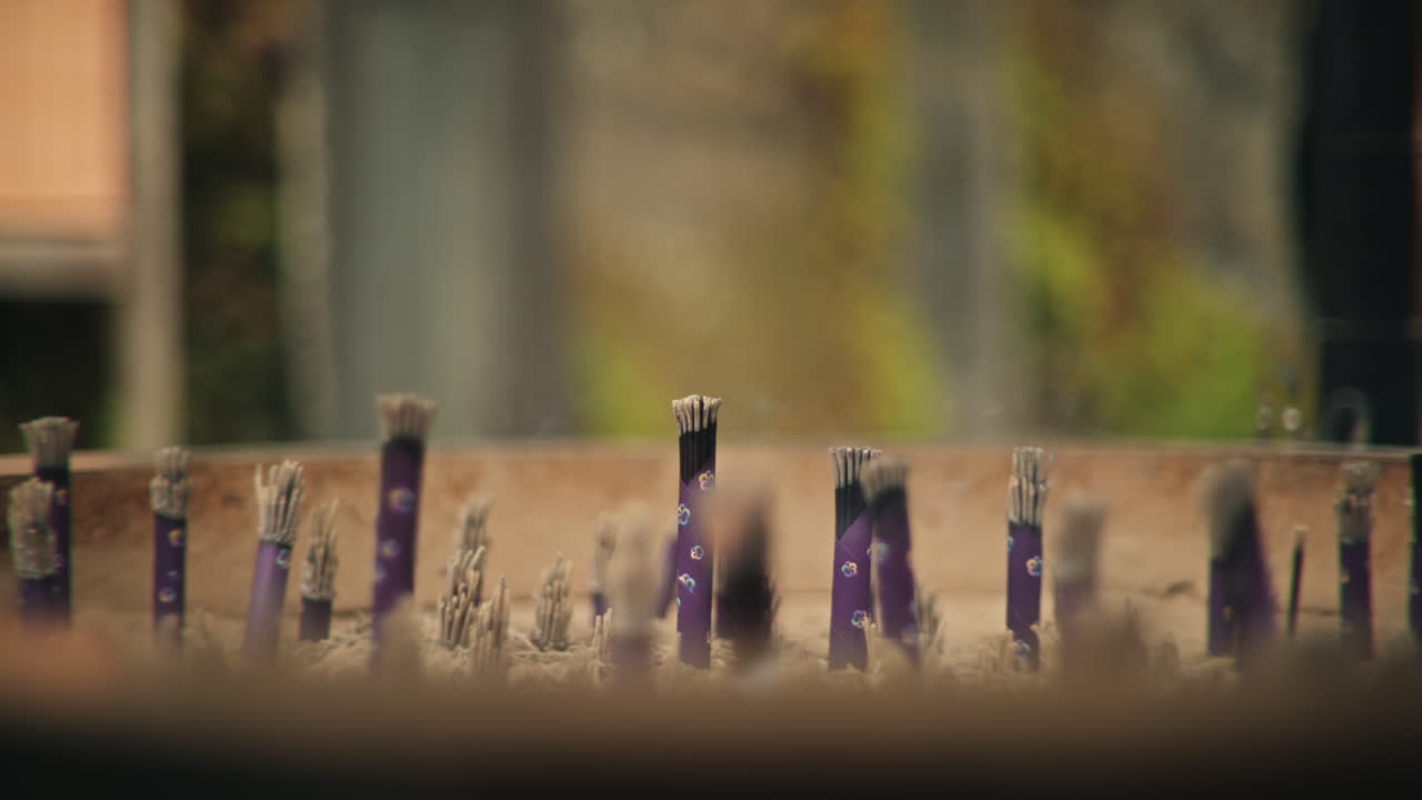 Incense sticks in ash