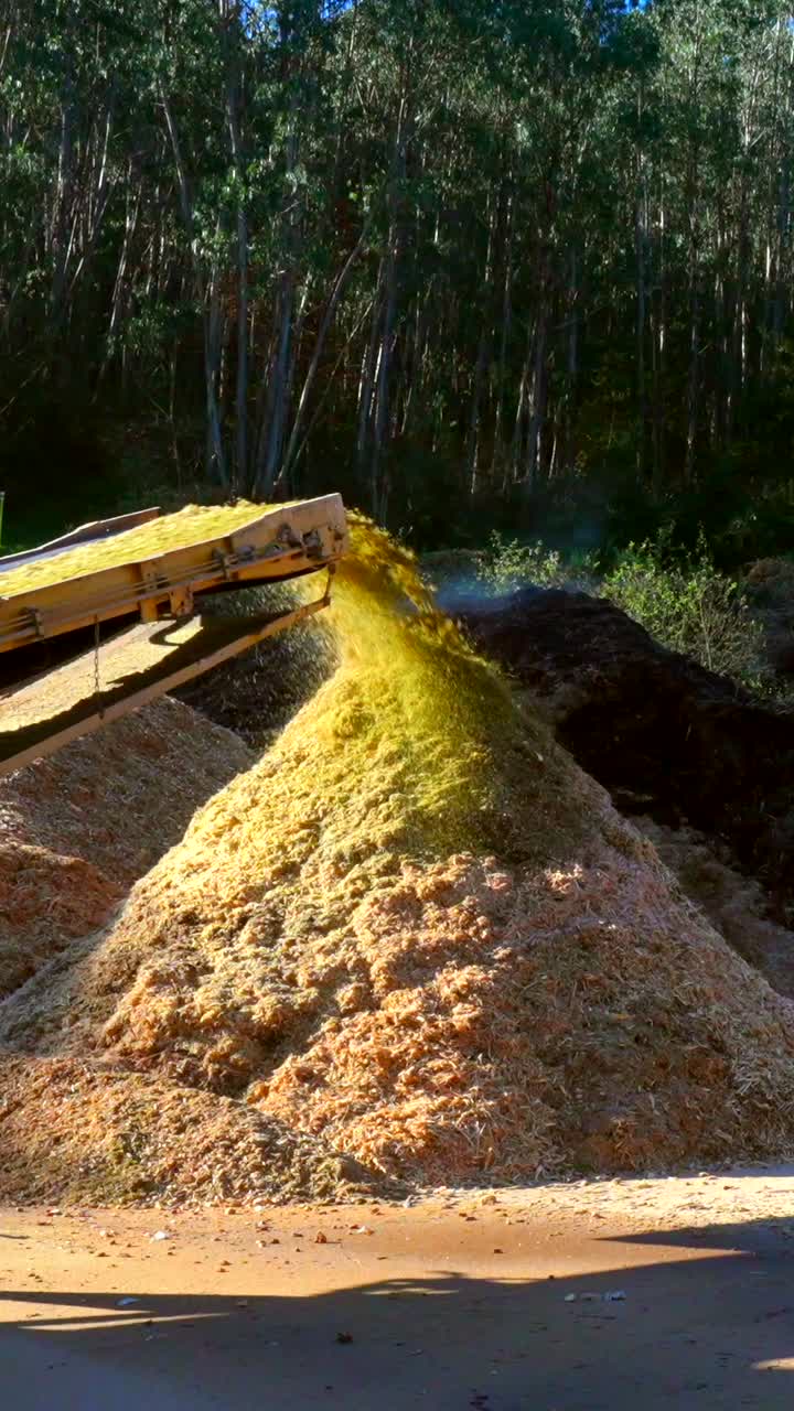 Conveyor belt distributing wood chips into a pile