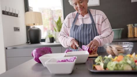 Senior-biracial-woman-cooking-dinner-and-chopping-vegetables-in-kitchen,-unaltered,-in-slow-motion