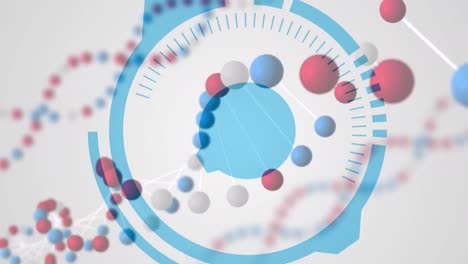 animation of rotating 3d dna strands, with blue interface, on white