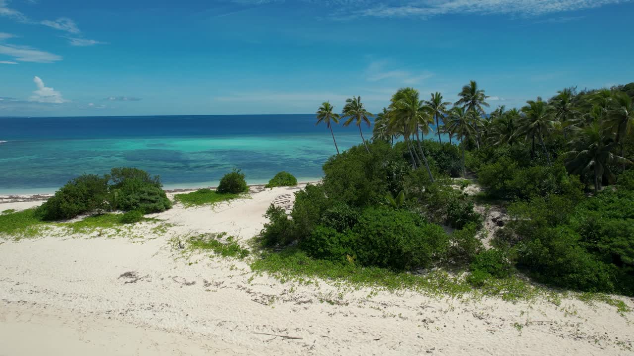 Deserted Tropical island with Palm trees and sign saying help me- Monuriki island Fiji