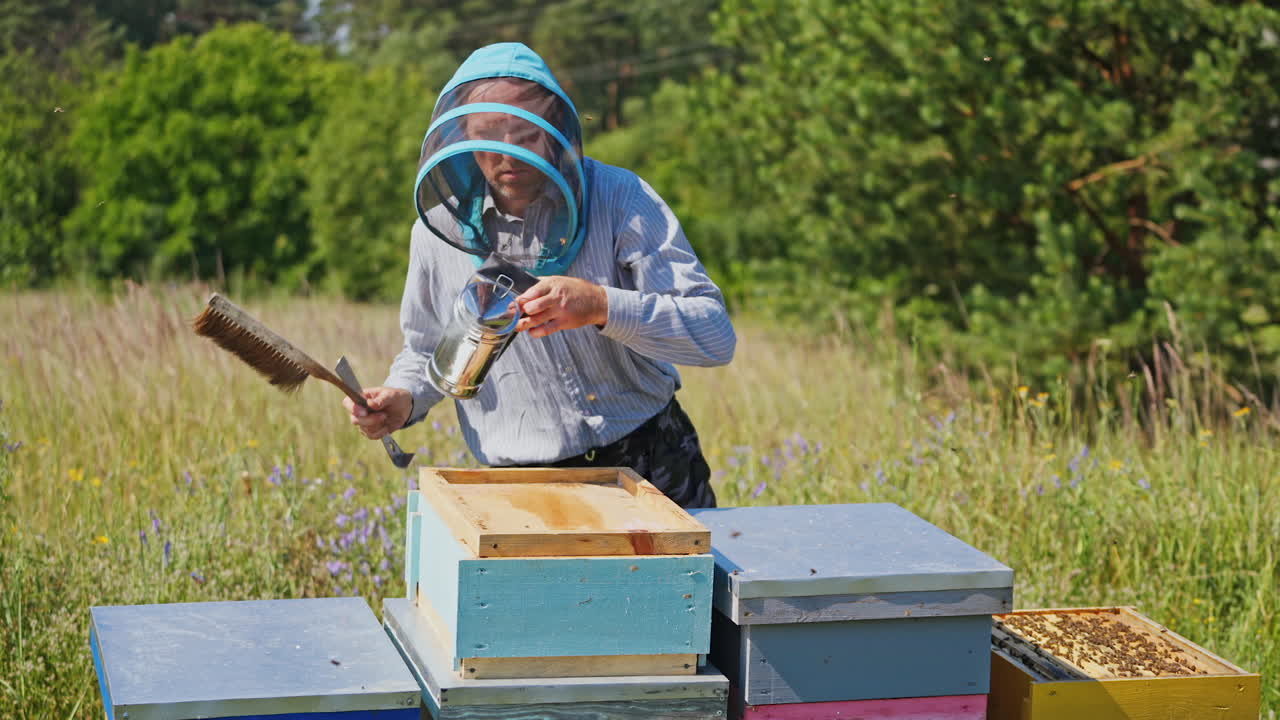 Bee master on apiary. Man in protective hat works with chimney in the beehive. Beekeeper examining bees on a bee farm on green nature background.