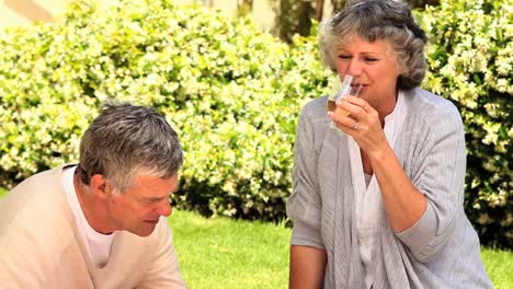 Pareja-Madura-Disfrutando-De-Un-Picnic