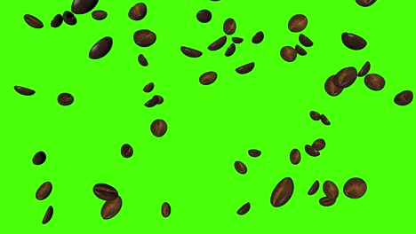 3d animation of coffee beans group on green screen chroma key