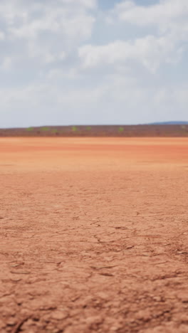 cracked earth in a desert landscape