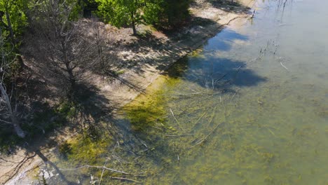 Still-take-of-a-shoreline-covered-in-algea