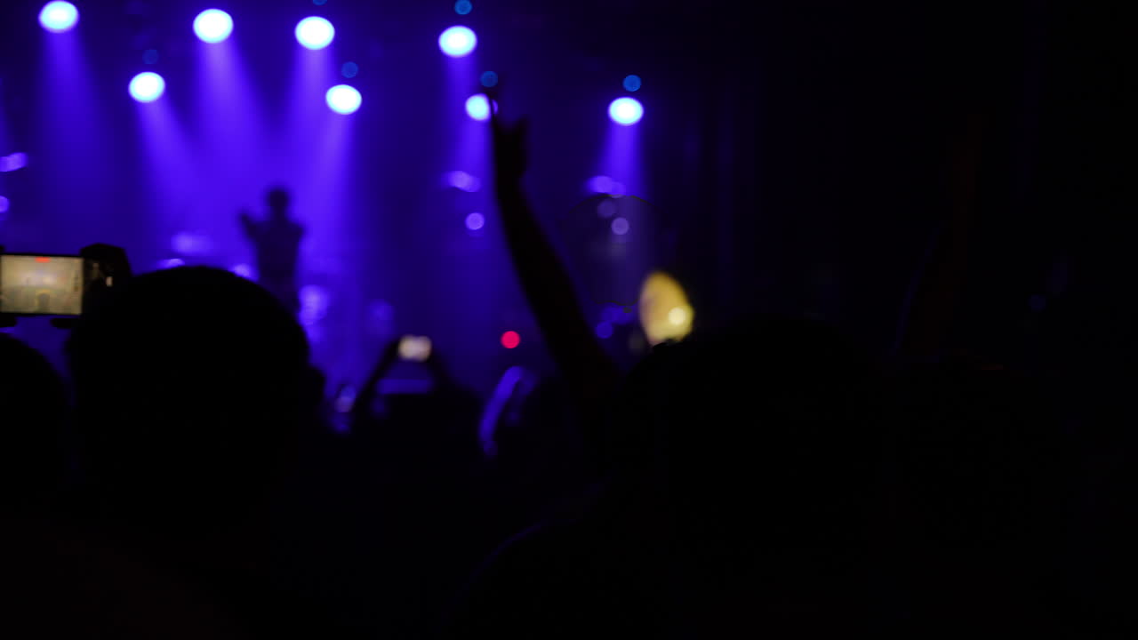 Folla di persone che si godono un concerto di musica dal vivo con vivaci luci di scena che illuminano l'atmosfera, creando un ambiente vivace ed energico per l'esperienza del pubblico.