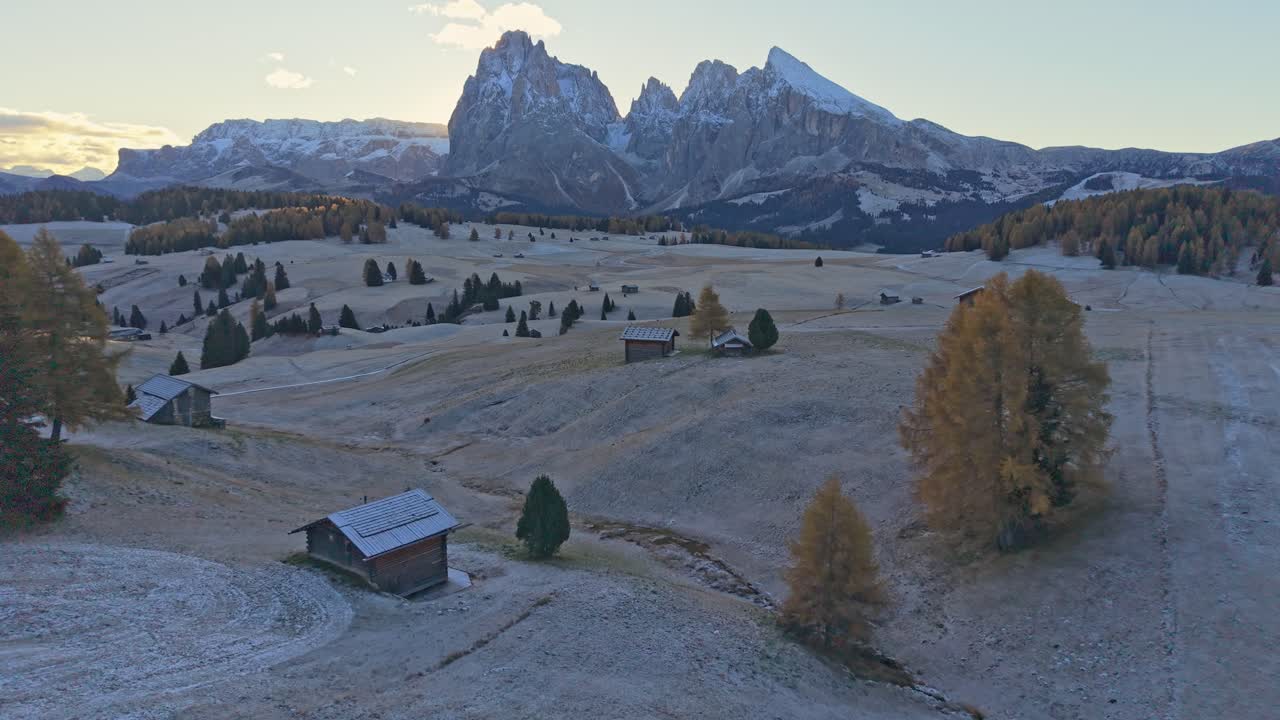 Ilmakuva vihreistä kukkuloista ja puista Alpe di Siusilla, Italiassa