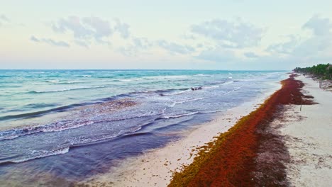 Drohnenaufnahmen,-Die-Rückwärts-über-Den-Sandstrand-In-Yucatan-Mexiko-Fliegen