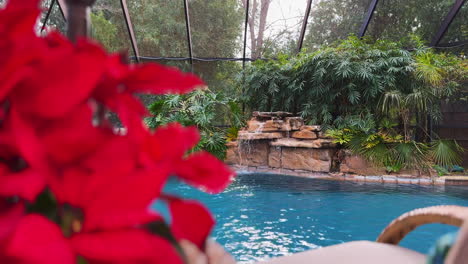 crystal blue pool with waterfall and bamboo in background with unfocused poinsettia in the foreground