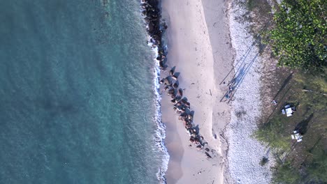 Schwingen-Sie-Auf-Dem-Strandschattenwellenbrecher-Aus-Stein