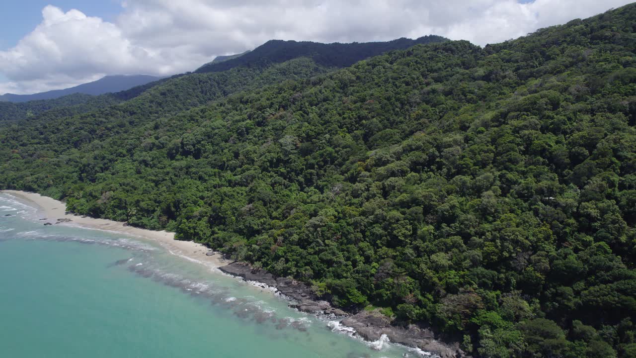 selva tropical del parque nacional daintree en cape tribulation, norte de queensland, australia