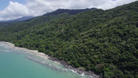 rainforest of daintree national park in cape tribulation, north queensland, australia