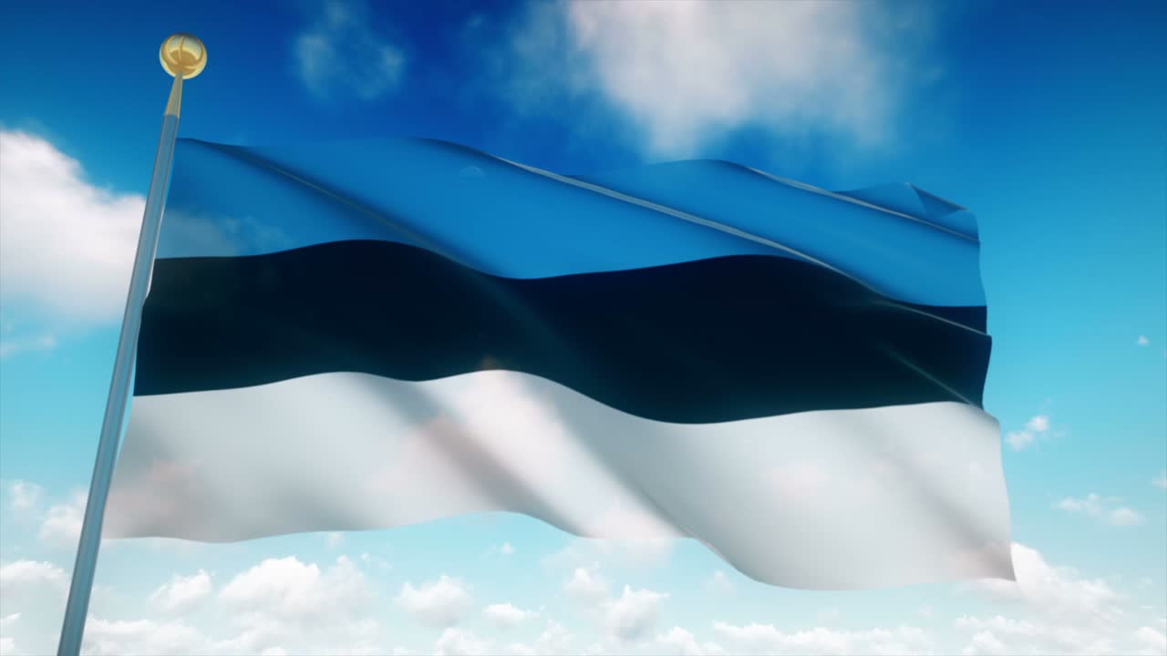 4k 고도로 상세한 에스토니아의 발 loopable