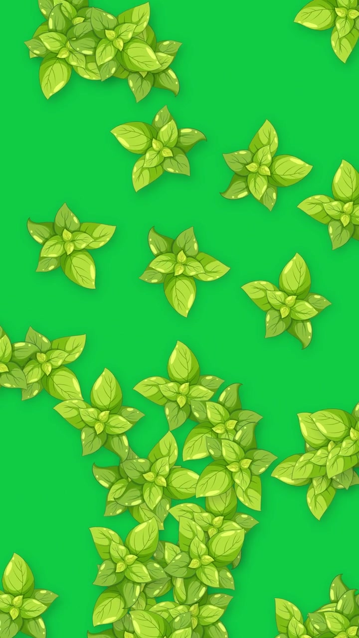 Foglie di basilico verdi animate cadono verticalmente su uno sfondo verde uniforme con ombre morbide