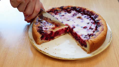 housewife cut off piece of homemade berry pie with yogurt filling