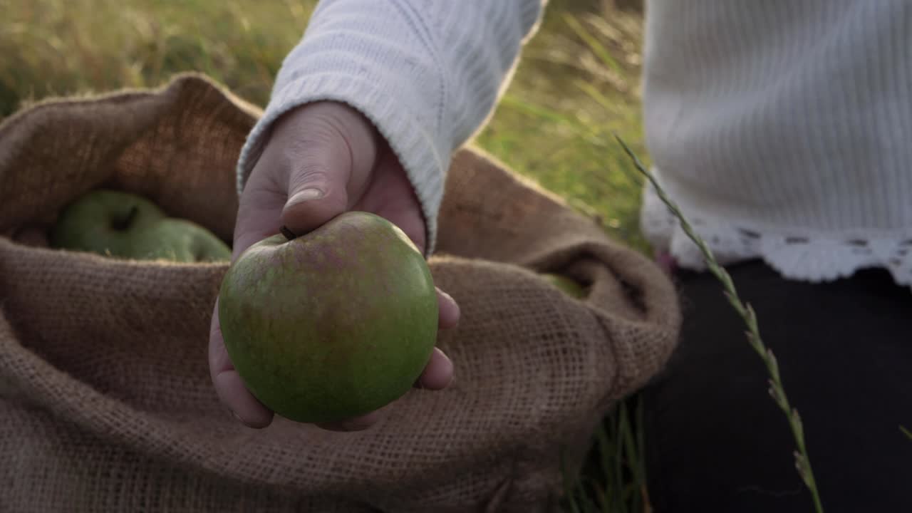 mujer ofreciendo manzana verde madura de un saco plano medio