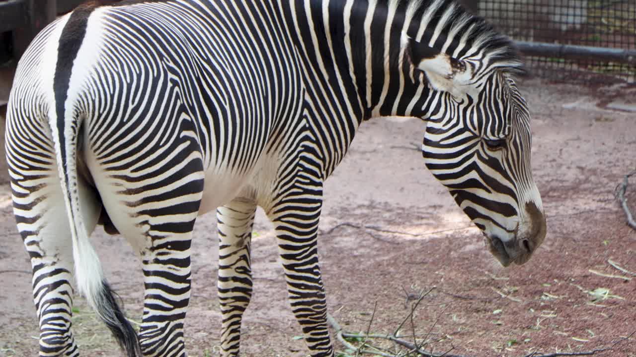 la mejor vista en yokohama