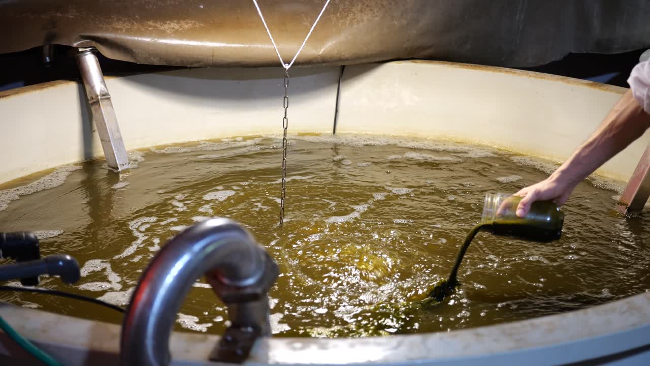 proceso de adición de solución verde antimicrobiana de malaquita de la acuicultura