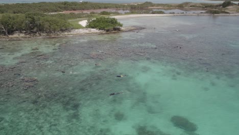 Snorkelers-exploring-the-clear-turquoise-waters-of-cayo-de-agua,-aerial-view