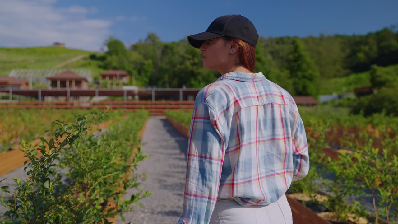 블루베리 농장을 걸어다니는 여자