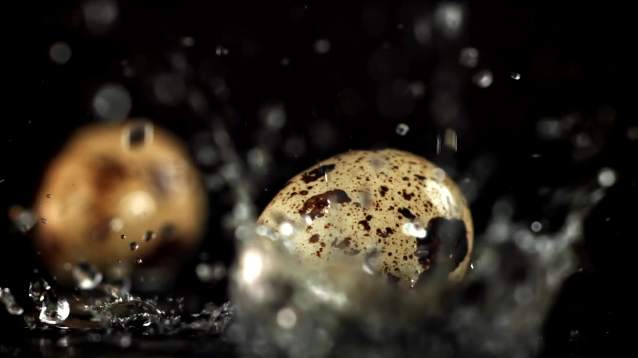 Slow Motion Water Splashing on Quail Eggs with Dark Background