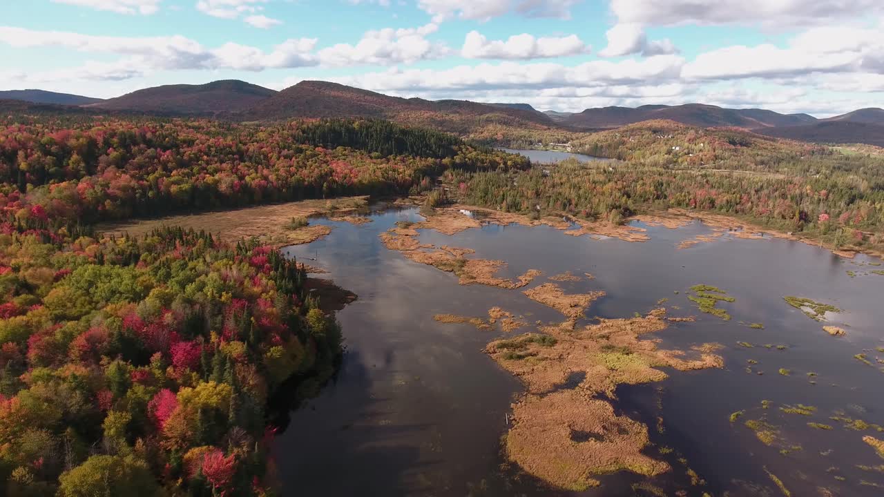un pantano durante el otoño en quebec, canadá