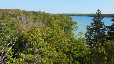 Der-Flug-Zwischen-Den-Kiefernwipfeln-Ermöglicht-Den-Blick-Auf-Das-Ruhige-Wasser-Des-Lake-Huron-Mit-Einer-Bewaldeten-Küste