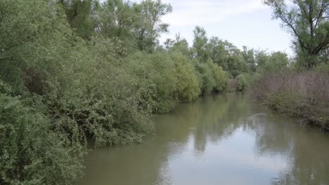 Naturschutzgebiet-Donaudelta