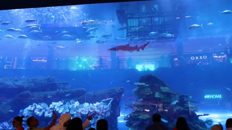 people watching marine life in large aquarium