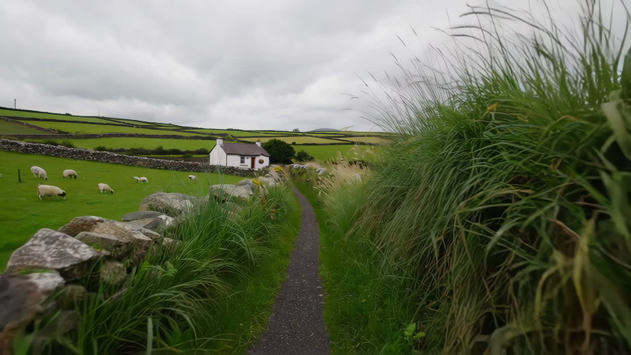 Charming Thatched Cottages and Rural Irish Countryside