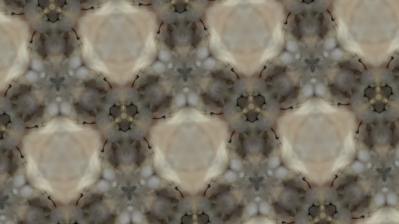 la transformación del caleidoscopio ornamental