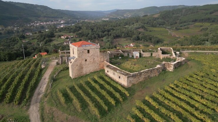 Ripresa aerea della Torre de Puga circondata da filari ordinati di colture a Toen, Ourense, Galizia, Spagna