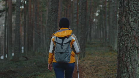 young woman hiking in thick forest