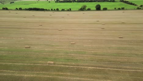 Cultivated-wheat-agricultural-field-aerial-view-rising-across-harvested-golden-hay-bales