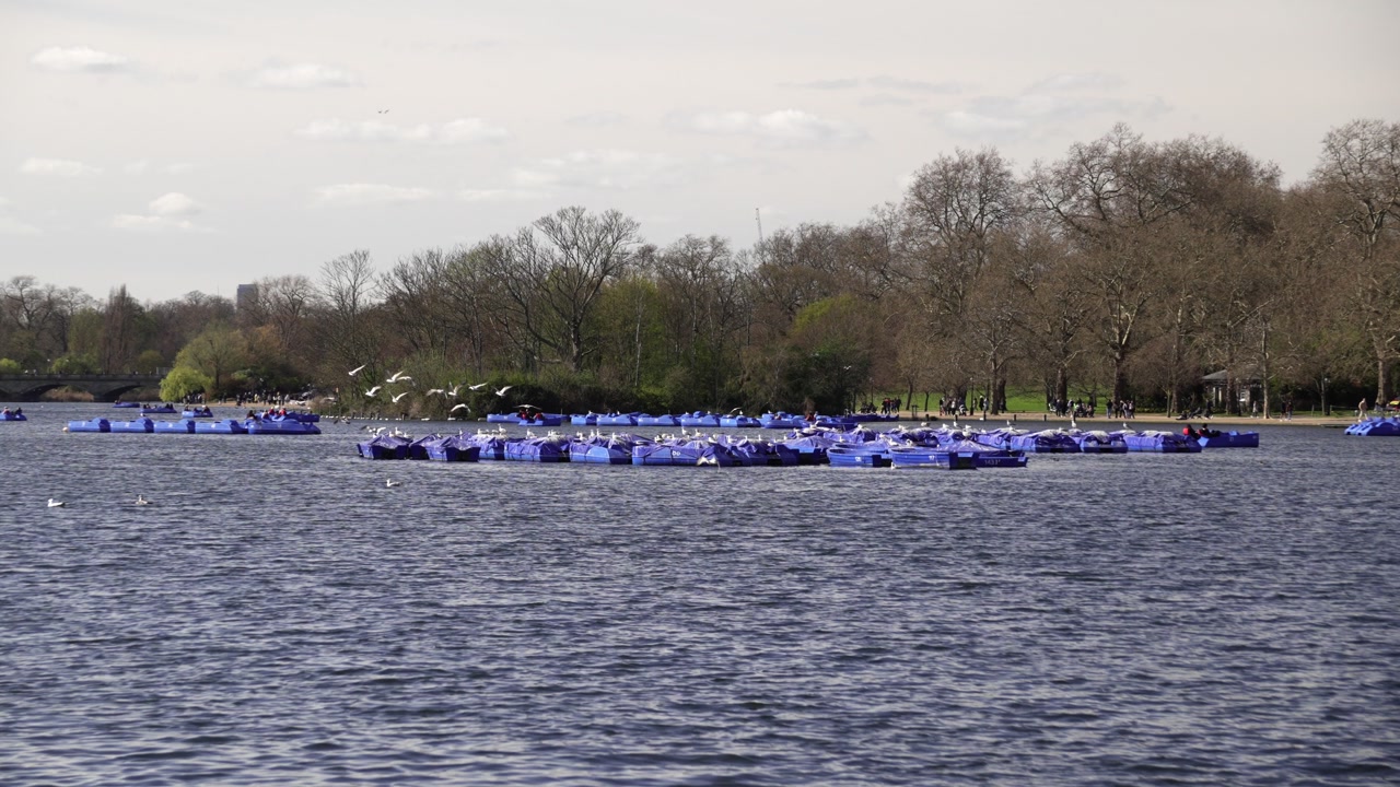 Serene lake with pedal boats and distant trees on an overcast day at hyde park