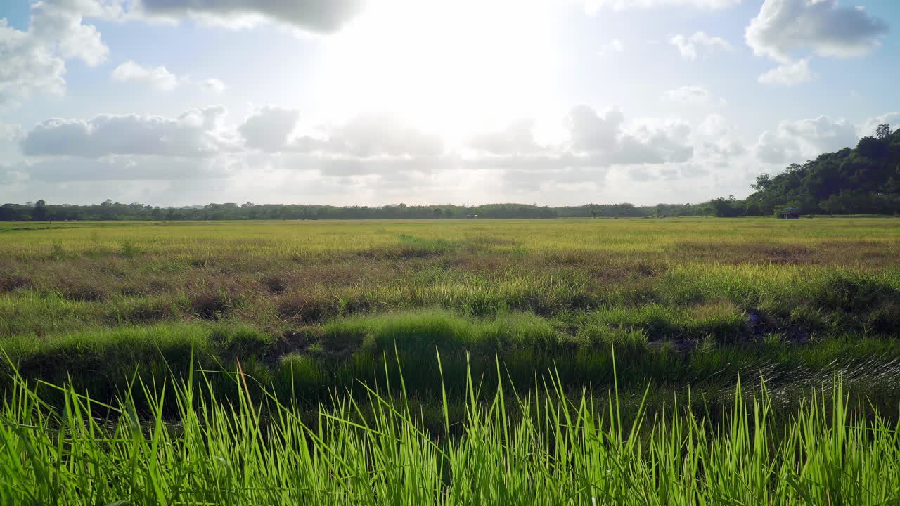 저녁에 4k 논 논 시간 경과