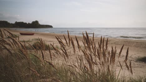 fishing boat in the dunes of the baltic sea