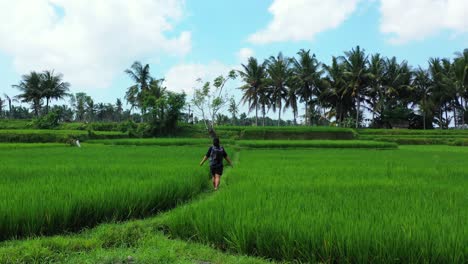 young girl easing her way through a paddy field in indonesia