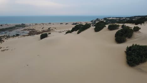 dune di piscinas, a big massive sand desert dune by the seaside with a sandy ocean sea beach on the island sardinia, italy