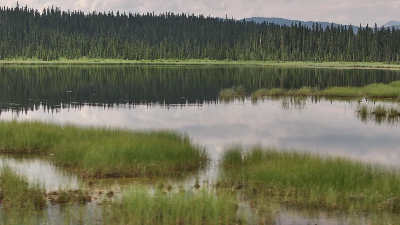 A rising sideways drone flies along a mirror-like pond to reveal the hazy summer foothills of Alberta, Canada