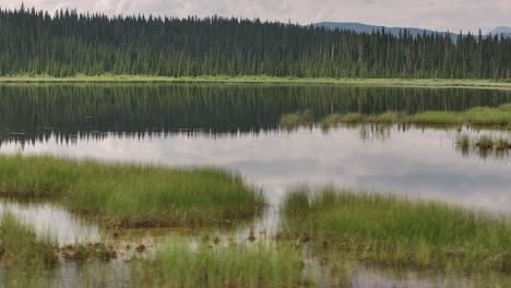 A-rising-sideways-drone-flies-along-a-mirror-like-pond-to-reveal-the-hazy-summer-foothills-of-Alberta,-Canada