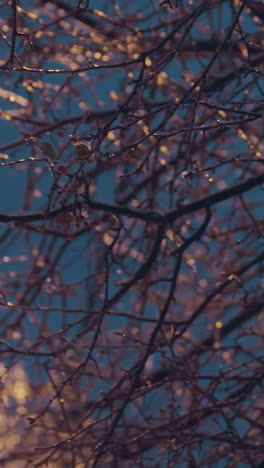 la luz de tonos dorados ilumina las ramas heladas de los árboles durante el anochecer, creando un contraste mágico contra un cielo azul profundo de la noche, los intrincados patrones de las ramas brillan con helada